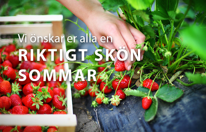 Vi har öppet hela sommaren