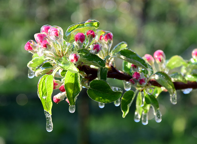 Frostskydd från Aquadrip