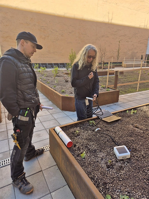 Smart bevattning sparar vatten på Stockholms innergårdar – test hos Einar Mattsson